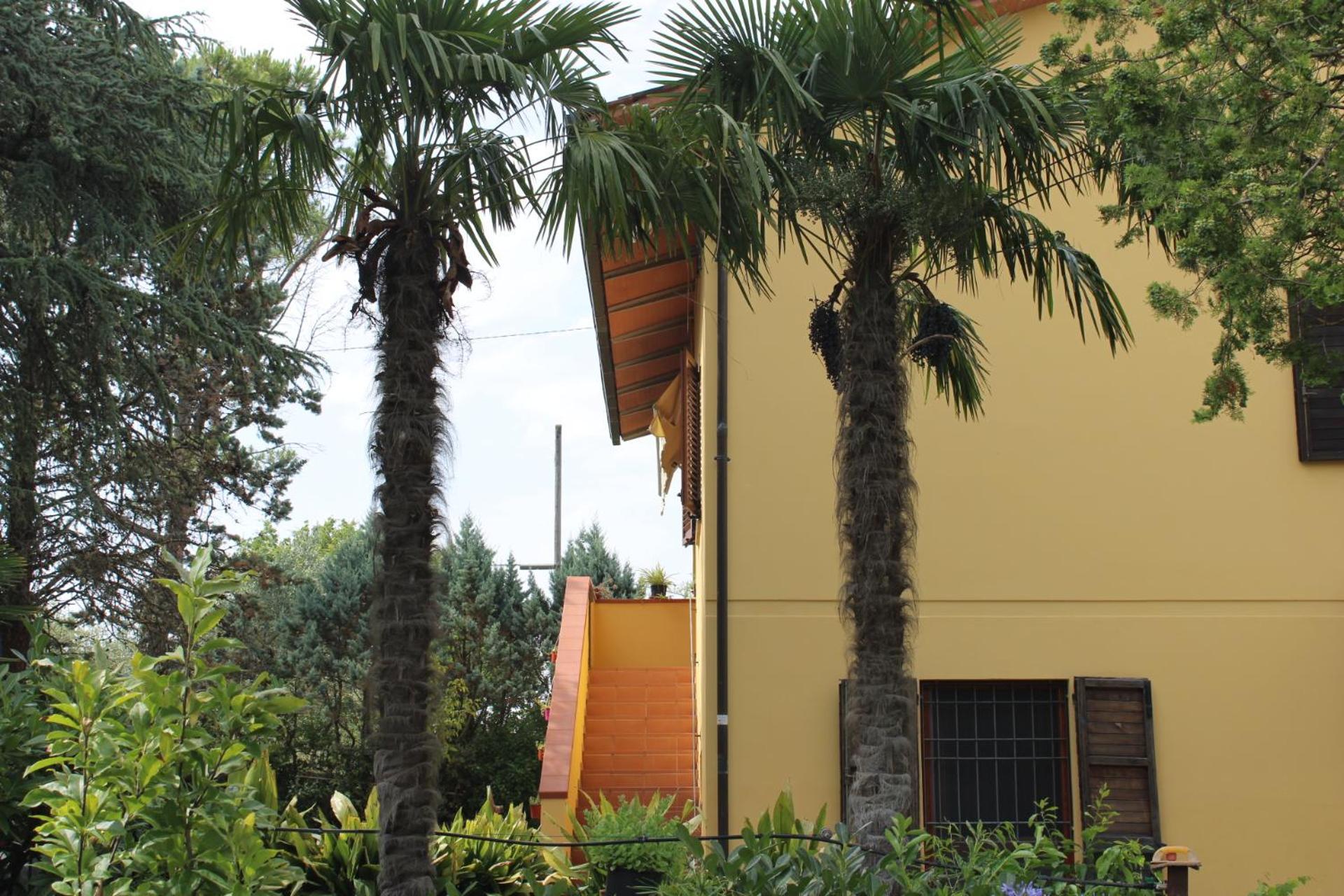 B&B Terre Toscane Ciggiano Exterior photo